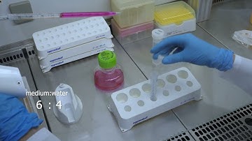 Cell-IN - Enhance cellular uptake - Cross the cell barrier