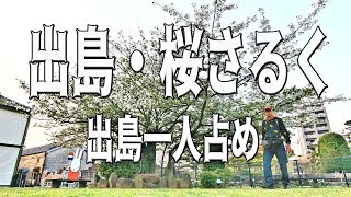 出島・桜さるく～一人占め～