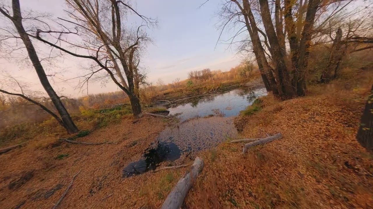 Осень . Озеро.