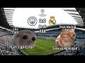 Cat memes football  manchester city vs real madrid champions league quarterfinal highlights