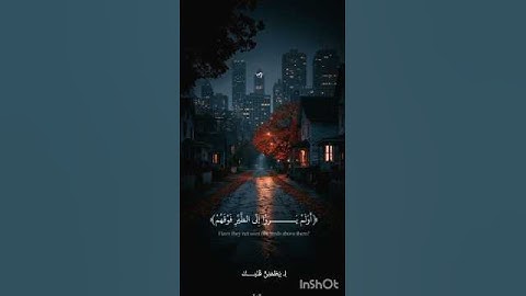 أولم يروا إلى الطير فوقهم صافات | عبدالرحمن مسعد 💚 #قران_كريم #quran #عبدالرحمن_مسعد #تلاوة_خاشعة