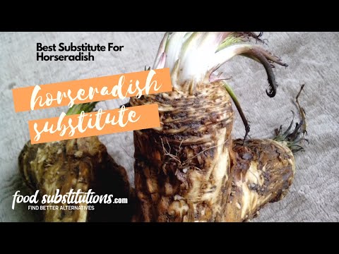 Horseradish Substitute - Replacement And Alternatives For Horseradish