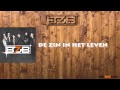 Miniature de la vidéo de la chanson De Zin In Het Leven