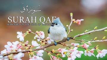 📖✨ تلاوة خاشعة من سورة ق | بصوت القارئ أبو مصعب ماهر