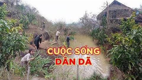 Picnick đầu năm mới trên rừng. Cuộc sống trong rừng. Bông Bông TV