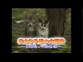 小さな子猫の大冒険～大都会ノラ猫物語