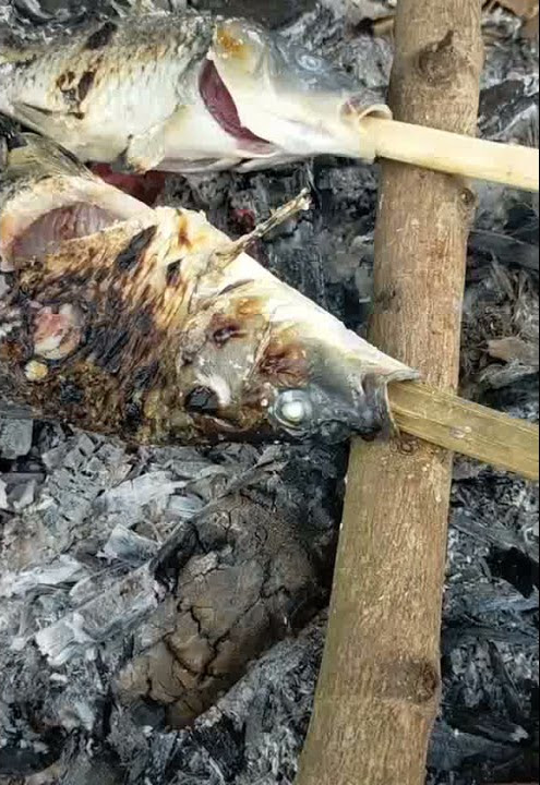 Story wa bakar ikan pagi hari yang cerah