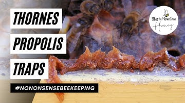 Thornes Propolis Traps