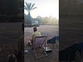 Vanlife In Marroco hungry guests for dinner