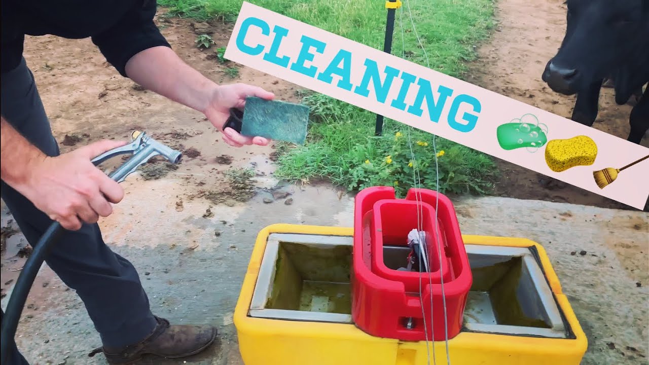 How to Clean a Ritchie Water System. Water System for Cows and Horses