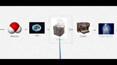 KIN 300 Introduction