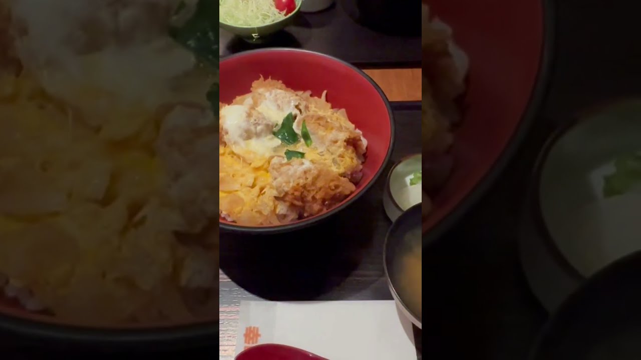 Japanese Katsudon Shorts