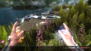 Nvidia ShadowPlay (Beta) Test with TES V Skyrim