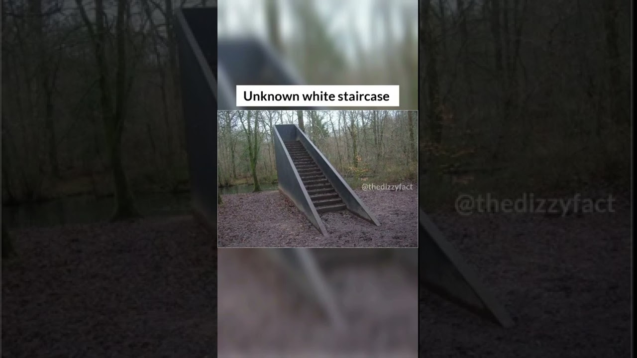 Strange things found in forest 😱