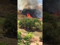 Morador registra incndio que queimou parte do parque de guas claras