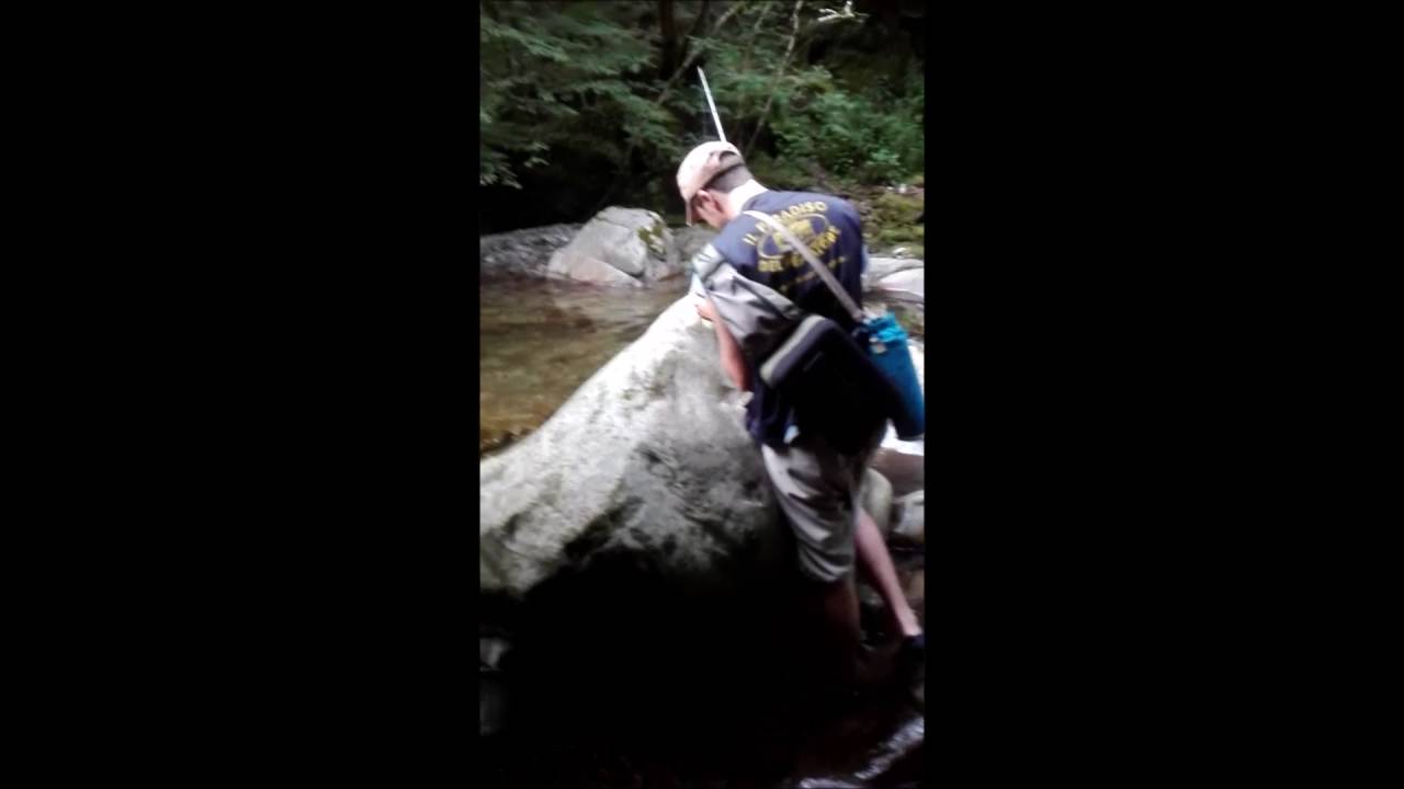 Gli Dei della Pesca - trou area