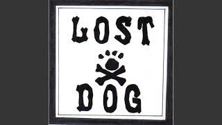 Video thumbnail of "Lost Dog Street Band - Please Don't Go"