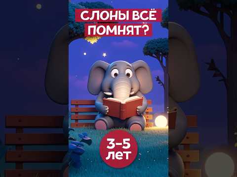 Слоны всё помнят? #правдаилиложь #интересныефакты #длядетей #фактысовсегомира #фактыоживотных #слоны