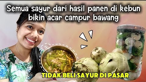 Semua hasil panen  dari kebun kita jadi  menu makan siang ||  bikin acar campur bawang dan wortel