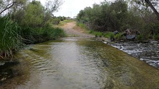 5 Mile Trail Ride with The Pink Panda in First Person Mode (full trip)