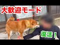 歓喜!久しぶりの大歓迎モード!