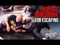 Usa camp 2023 reverse underhook ideas for escaping with priit mihkelson