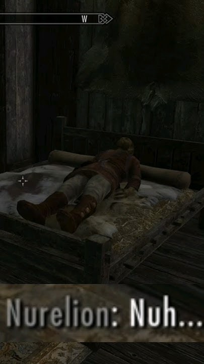 that-seems-uncomfortable-nurelion-skyrim-youtube