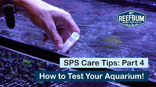 How to Keep SPS Coral Part 4: How to Test Your Aquarium!