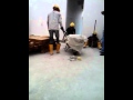 Bokep