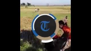 SADIS... Anak Tega Penggal Kepala Ibu Kandung di Kebumen