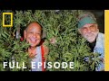 Legal marijuana in america the new green rush full episode  nat geo investigates