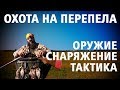 Охота на перепела: Тактика Оружие Экипировка