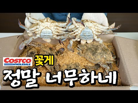 슬그머니 <strong>선</strong> 넘는 대형마트 톱밥꽃게, 맛은 있는데 <strong>이게</strong> 맞나요?