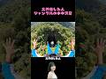 一回だけ飛び込め、どれを選ぶ？