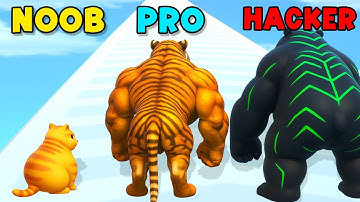 NOOB vs PRO vs HACKER - Cat Evolution 