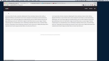 Alice Wordpress Theme - Section Mode