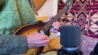 Heart Of Gold Neil Young | Mandolin Loop Cover | Hvetter