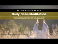 Brushwood breath body scan meditation