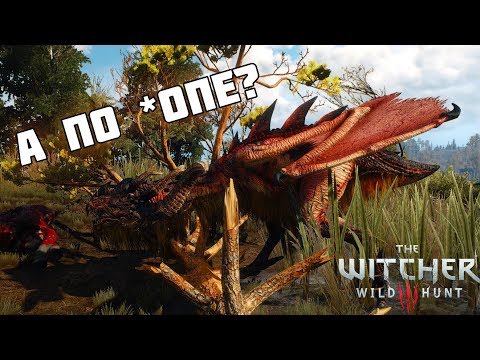 The Witcher 3: Wild Hunt - как быстро победить Виверну