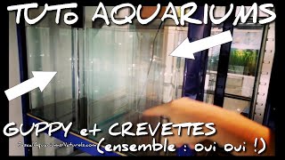 tuto 2 nano aquarium cube 30 litres pour guppy et crevettes ! Pascal Aquariums Naturels
