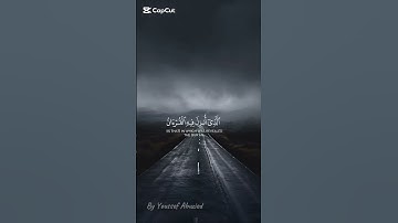 سبحان الله وبحمده سبحان الله العظيم 🩶🙂‍↔️ القارئ ياسر الدوسري 🩶🙂‍↔️ #اكسبلور #قرآن