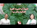 البقولة أو الخبيزة المغربية القيمة الغذائية والفوائد الصحية مع الأستاذ محمد احليمي اخصائي تغذية