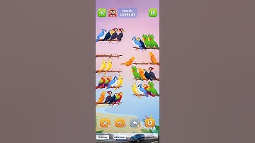 #bird #sort #level 81