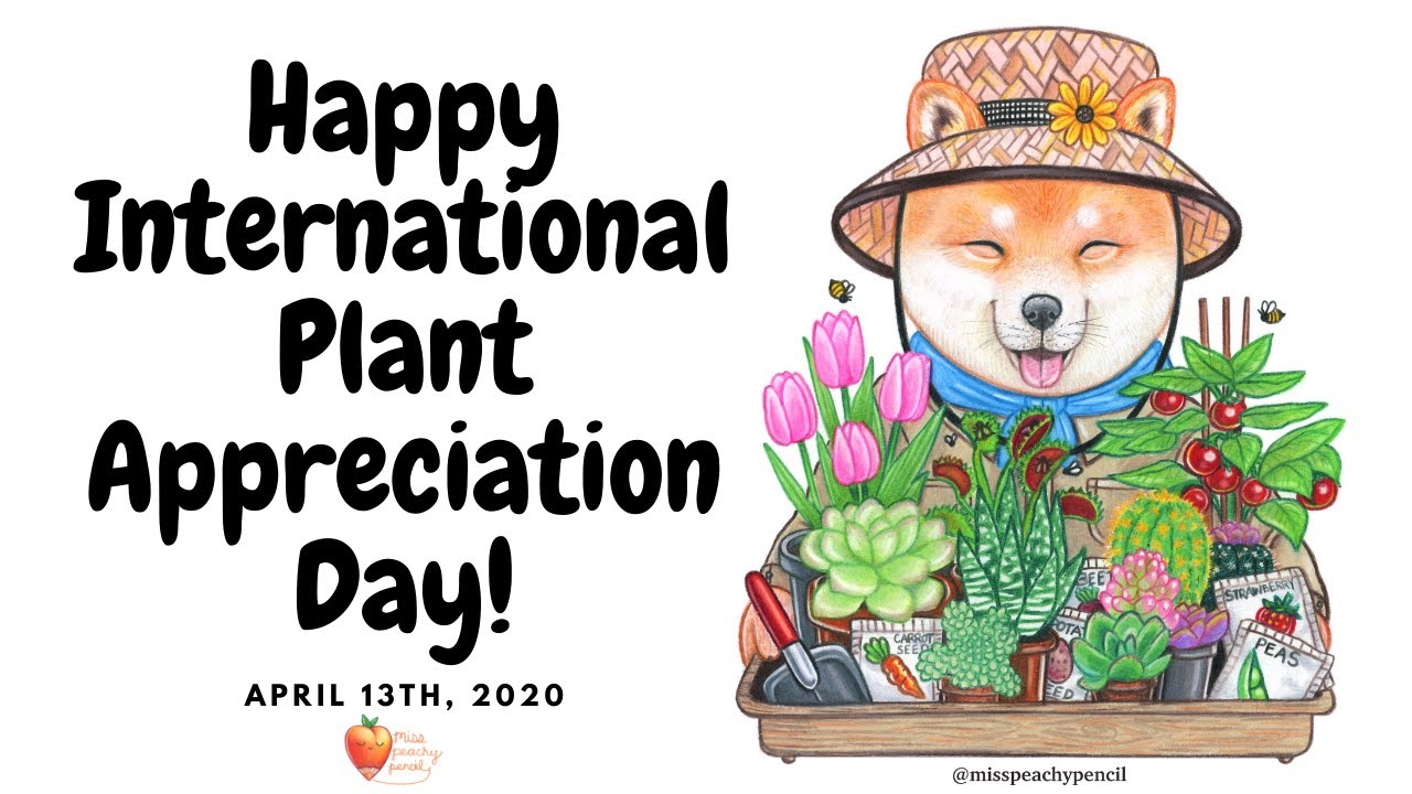 "INTERNATIONAL PLANT APPRECIATION DAY! 🌱🌲🌷 ️April 13th, 2020" YouTube