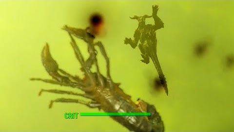 FALLOUT 4 Deathclaw & Scorpion Super jump WTF XD