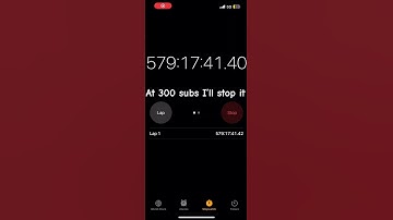 I’ll stop the timer at 300 subs #time #timer #fyp