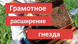 Грамотное расширение гнезда 🐝