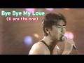 「Bye Bye My Love(U are the one)サザンオールスターズ」