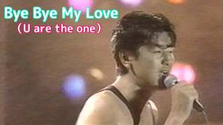 「Bye Bye My Love（U are the one）サザンオールスターズ」