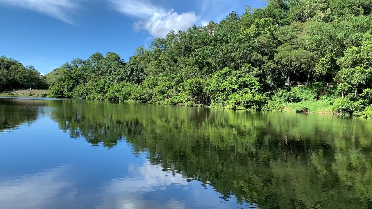 粉嶺流水響